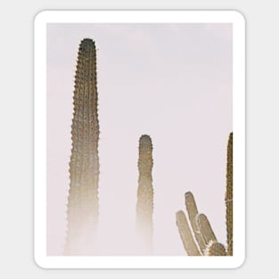 Cacti, Desert, Modern art, Wall art, Print, Minimalistic, Modern, Scandinavian print Sticker